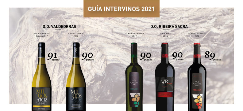 Puntuaciones Guía Intervinos 2021